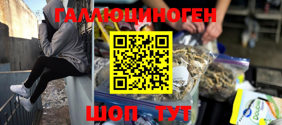 Протвино  наркотики  Вход с VPN  Галлюциногенные грибы Psilocybine cubensis 
